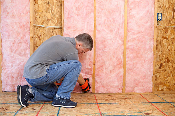 Best Basement Insulation  in White Bear Lake, MN